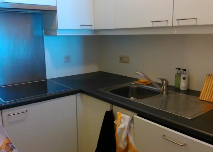 Paris Seaview Zeezicht Vue By Bloss Oostende